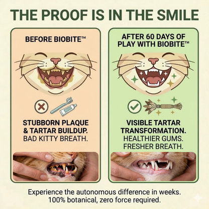 BioBite™: The Natural Stress-Free Dental Solution