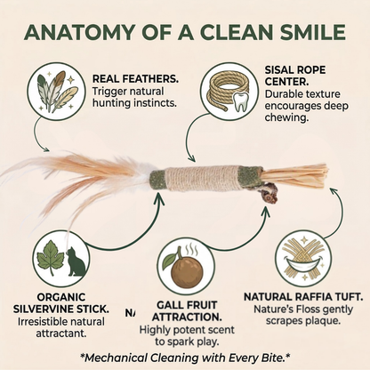 BioBite™: The Natural Stress-Free Dental Solution