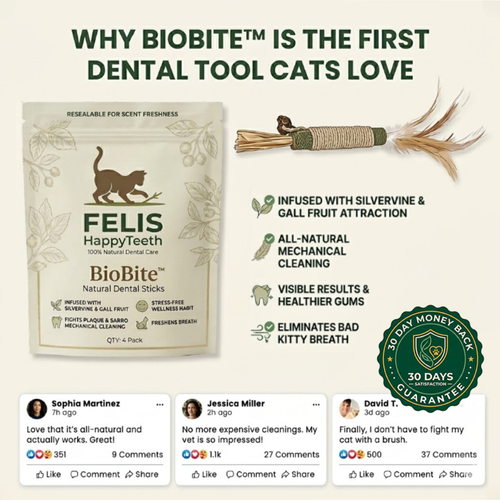 BioBite™: The Natural Stress-Free Dental Solution