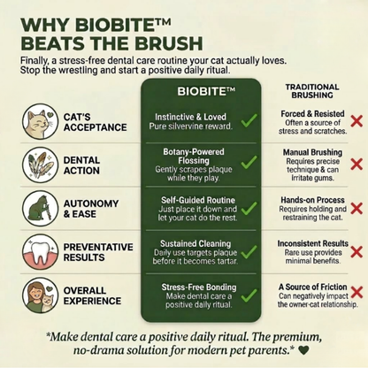 BioBite™: The Natural Stress-Free Dental Solution