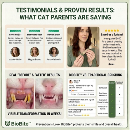 BioBite™: The Natural Stress-Free Dental Solution